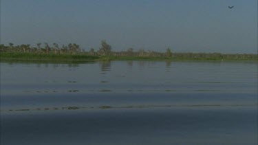 reflections on water and then track to reveal tourist boat on river at yellow waters