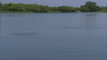 river that is erupting with the movement of either hunting fish or fish being hunted possible croc ca** fishermen in background look on