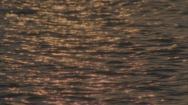 sunlight late afternoon reflecting on water surface, gently undulating waves , various in and out of focus effects