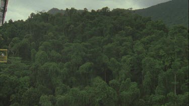 canopy crane bucket suspended out over forest and swinging around