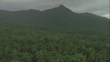 canopy crane bucket suspended out over forest and swinging around