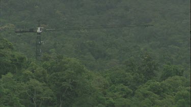 canopy crane bucket suspended out over forest and swinging around