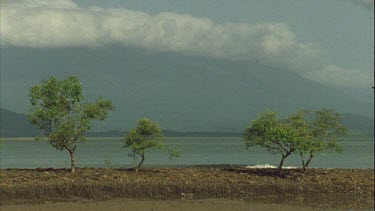 WS mangroves in fg , cloud covered mountains behind , waves gently lapping