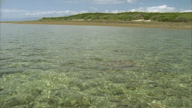 low tide reef flat with island behind