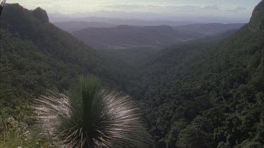 vista of valley with grass tree in fg