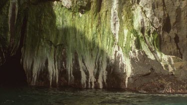 Guano running off rock into sea