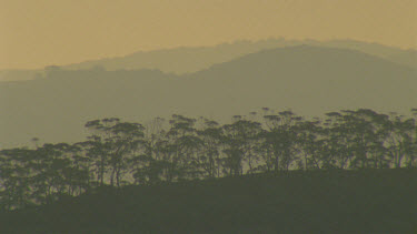 sunset over tree lined ridge