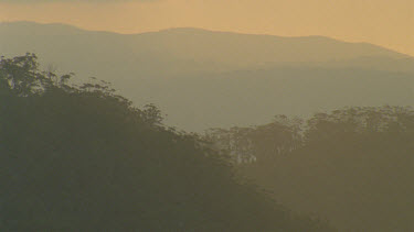 sunset over tree lined ridge