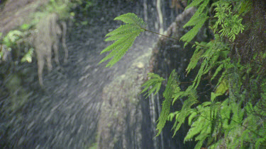 water running over the rock droplets splashing slomo