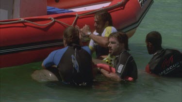 marine scientists on red zodiac inflatable boat , some leap onto dugong in water chase after in shallow water then wrestle it beside boat