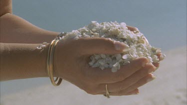 girls hands hold shells of Fragum erugatum clam . They run through her fingers. One of the few species that can survive in these hyper saline conditions.