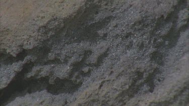 Zoom out from ecu of grey, sparkly rock to reveal full frame shot of boulder of which it is a part