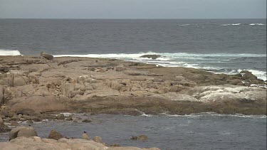 South Australia ocean and a rocky shore
