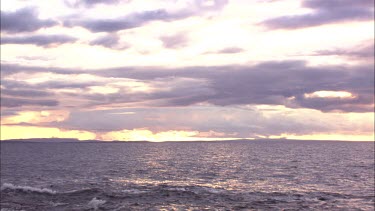 Australian Sea Lions on shore at dusk