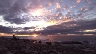 Australian Sea Lion colony on shore at sunset