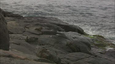 South Australia:  Waves crashing on the rocky shore