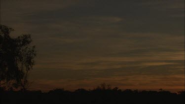 Sunset over the treeline