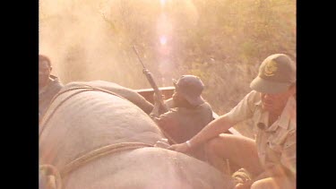 MCU. High angle looking down on rangers riding in truck with tranquilized rhino.
