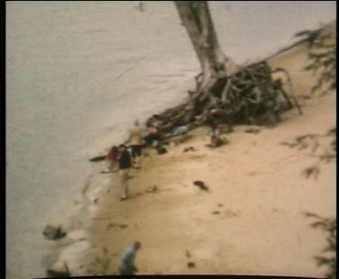People on water's edge beside a mangrove tree