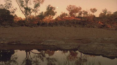 landscape fade to brumbies standing around water hole
