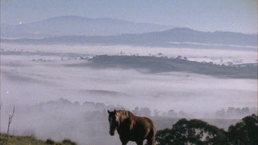 Walking along ledge, misty mountains in background