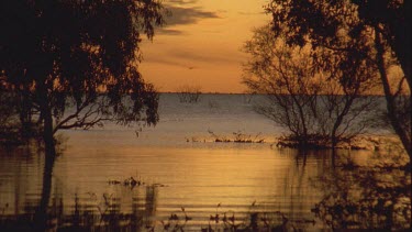 shot of lake at sunset
