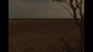 Panning Shot Of Outback Cattle Station Watering Hole