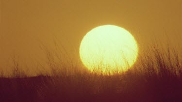 Klaus Kruiper tracker and scientist Louis Liebenberg walk through sunset