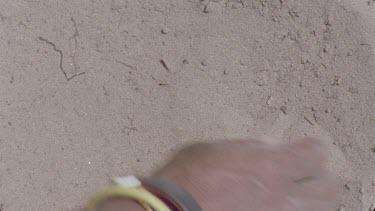 bushman woman picking out and throwing poison arrow worms to little boys, hand picking up the beetle larvae