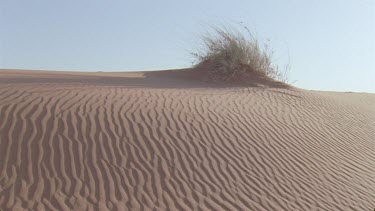 grass moving in the wind on side of red sand dune , long shadow pan to rippled pattern on red sand
