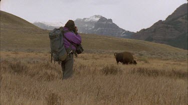 man taking photo of bison