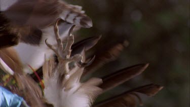 cu Bison Head prop, eagle claw, bird head. Indian Pow Wow dancers performing a sequence