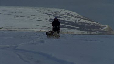 huskies leading the man on sleigh, running toward the camera, shot at high speed