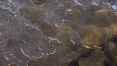 rivers edge becoming icy over rocks