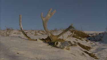 Feet of tracker as he walks on snow ground