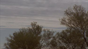 various wide angle shots of the sky as a spear passes through the air