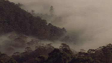 Mist over mountains