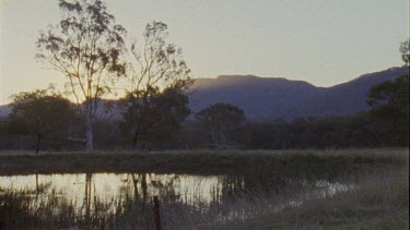 Pond landscape