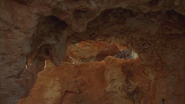 Feral Cat walking in a rock cave
