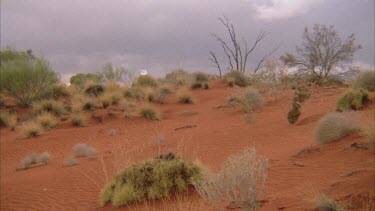 Misty desert landscape