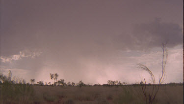 Desert plain at dusk