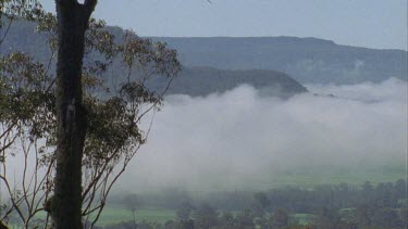 Misty mountain valley