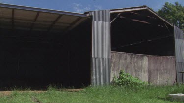 White Feral Cat running into a barn