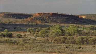 Desert landscape