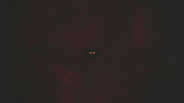 Glowing eyes of a Feral Cat at night