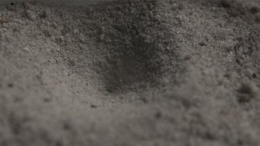 Close up of Antlion emerging from a hole in the dirt in slow motion