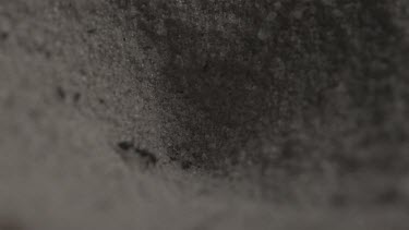 Close up of Antlion emerging from a hole in the dirt in slow motion