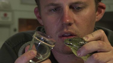 Close up of a handler holding a snake to collect venom