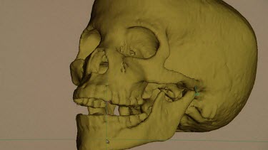 Computer generating a graphic of modern man's skull