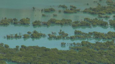 Flood plain under flood. Wet Season. Tropical Australia. Dampier Peninsula. Trees submerged. Flooded